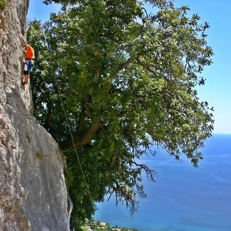 Bed & Breakfast Sa Clarera Baunei