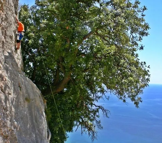 Bed & Breakfast Sa Clarera 3*